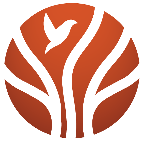 Tanya Shalem LLC logo